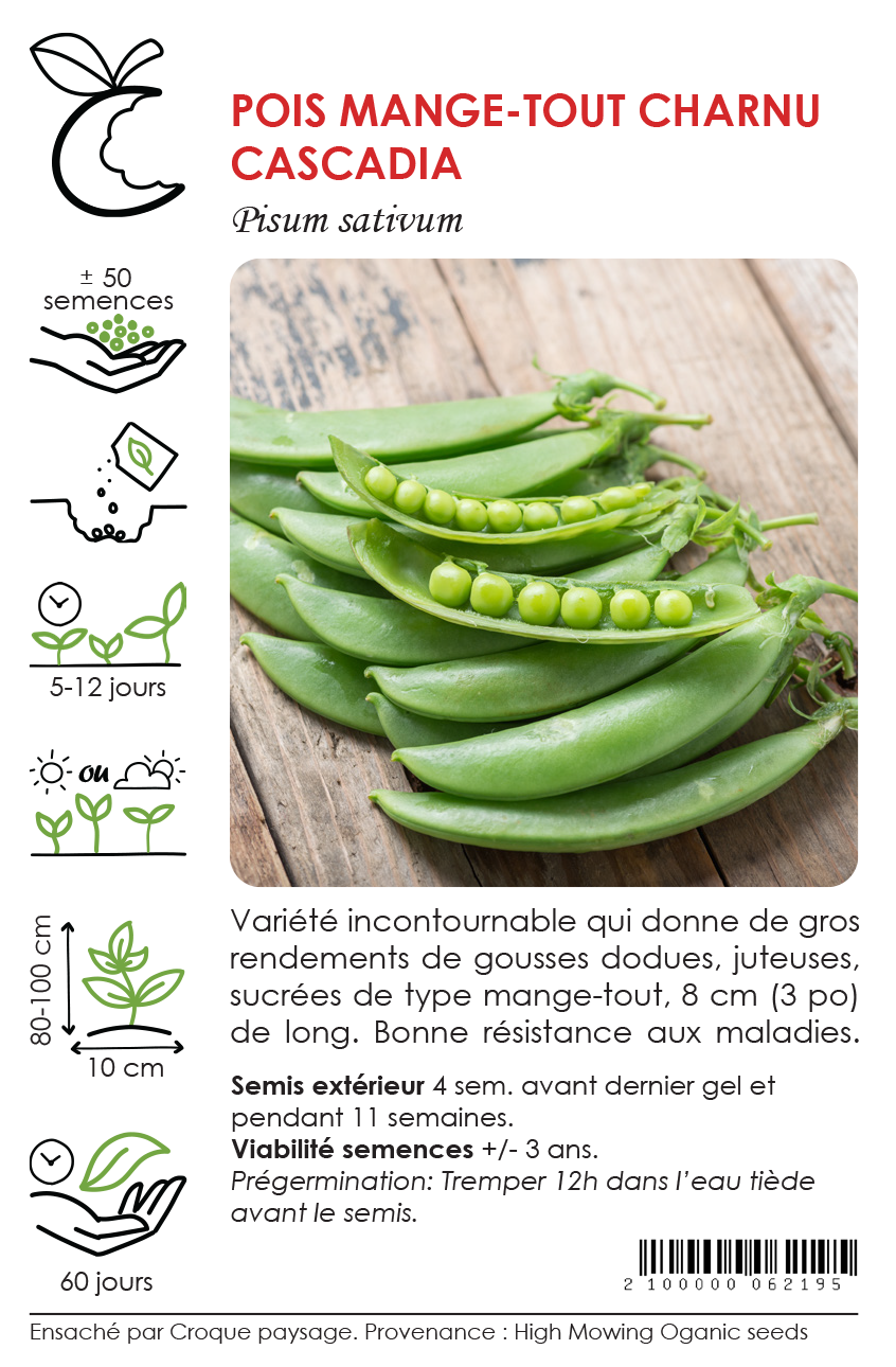 Sachet Croque Paysage,semences Pois mange-tout charnu Cascadia biologiques,légumineuse annuelle pour potager,semenciers québécois,laurentides,val-david