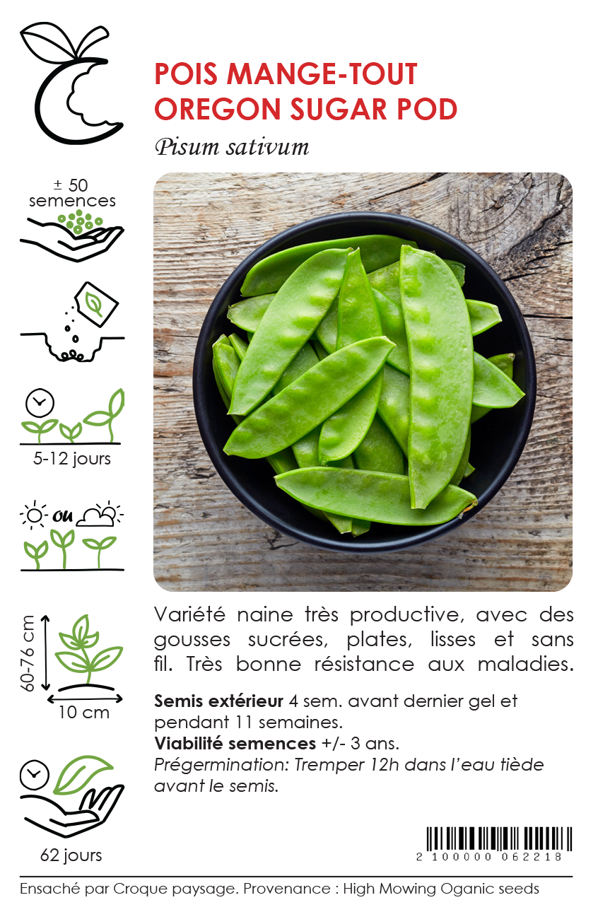 Sachet Croque Paysage,semences Pois mange-tout Oregon Sugar Pod biologiques,légumineuse annuelle pour potager,semenciers québécois,laurentides,val-david