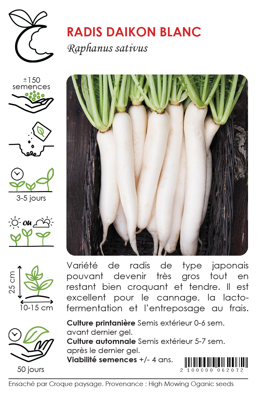 Radis Daikon blanc - Sachet Bio - High Mowing organic seeds