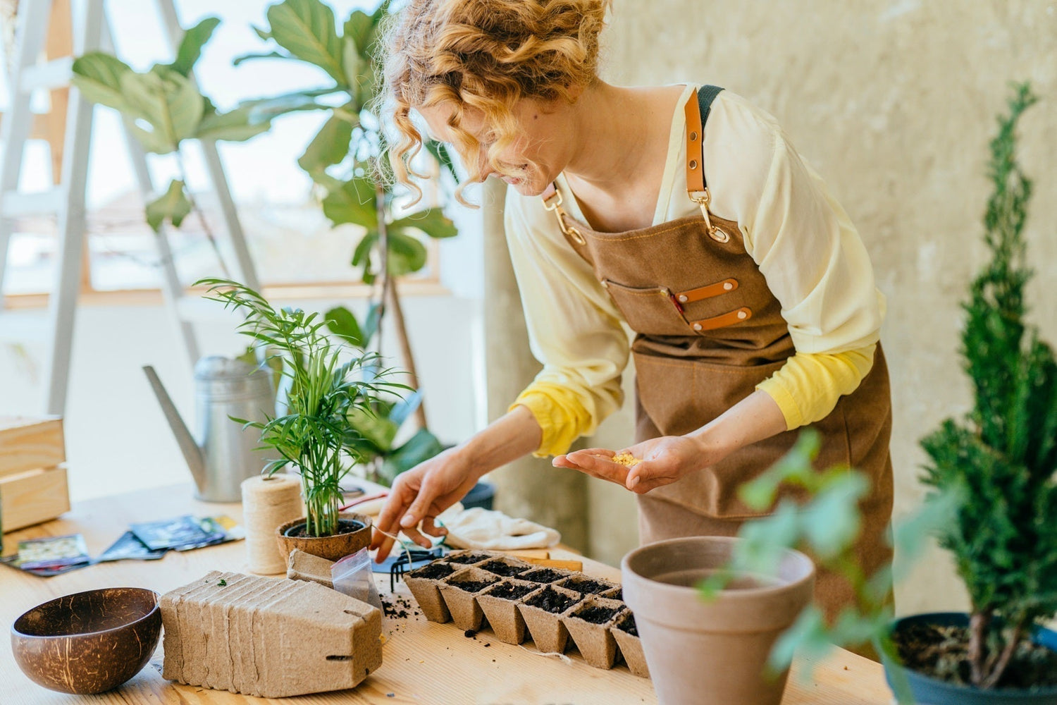 Comment produire des semis potagers de qualité?