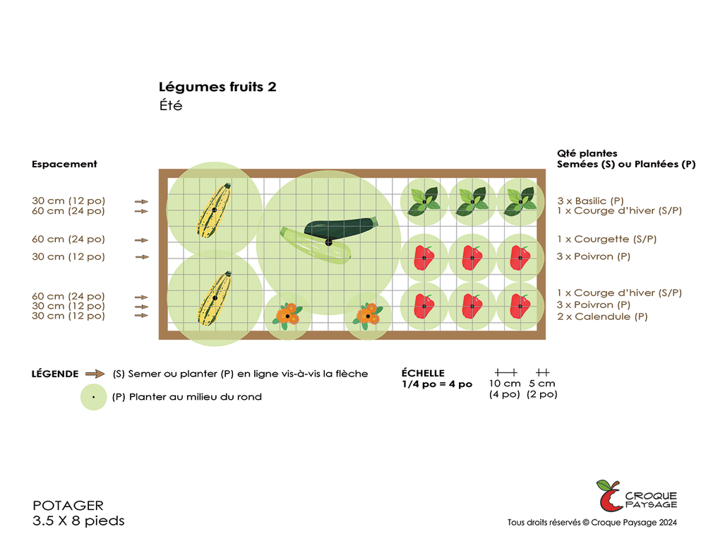 Vip exemple plans potager