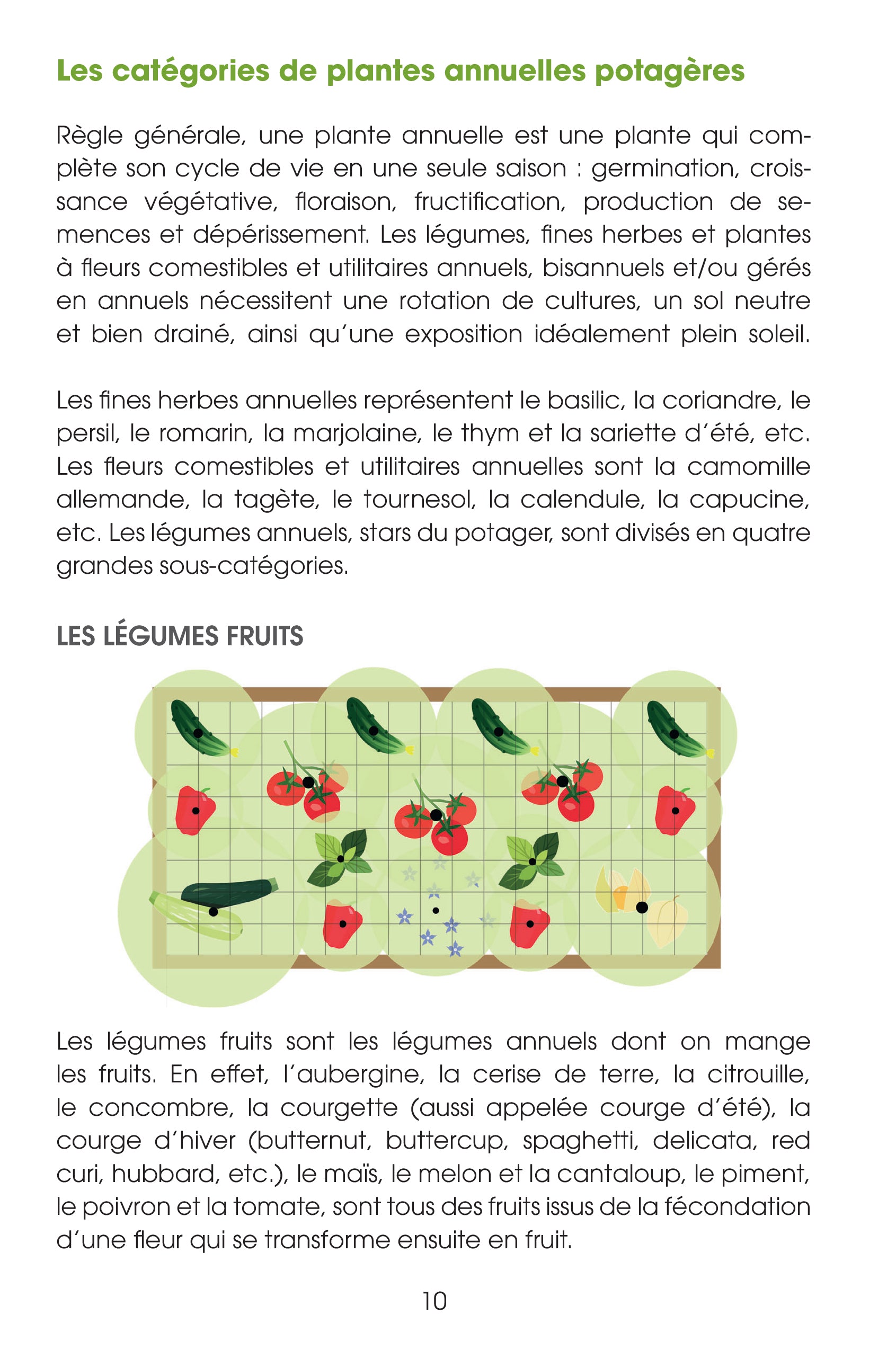 Guide du potager productif
