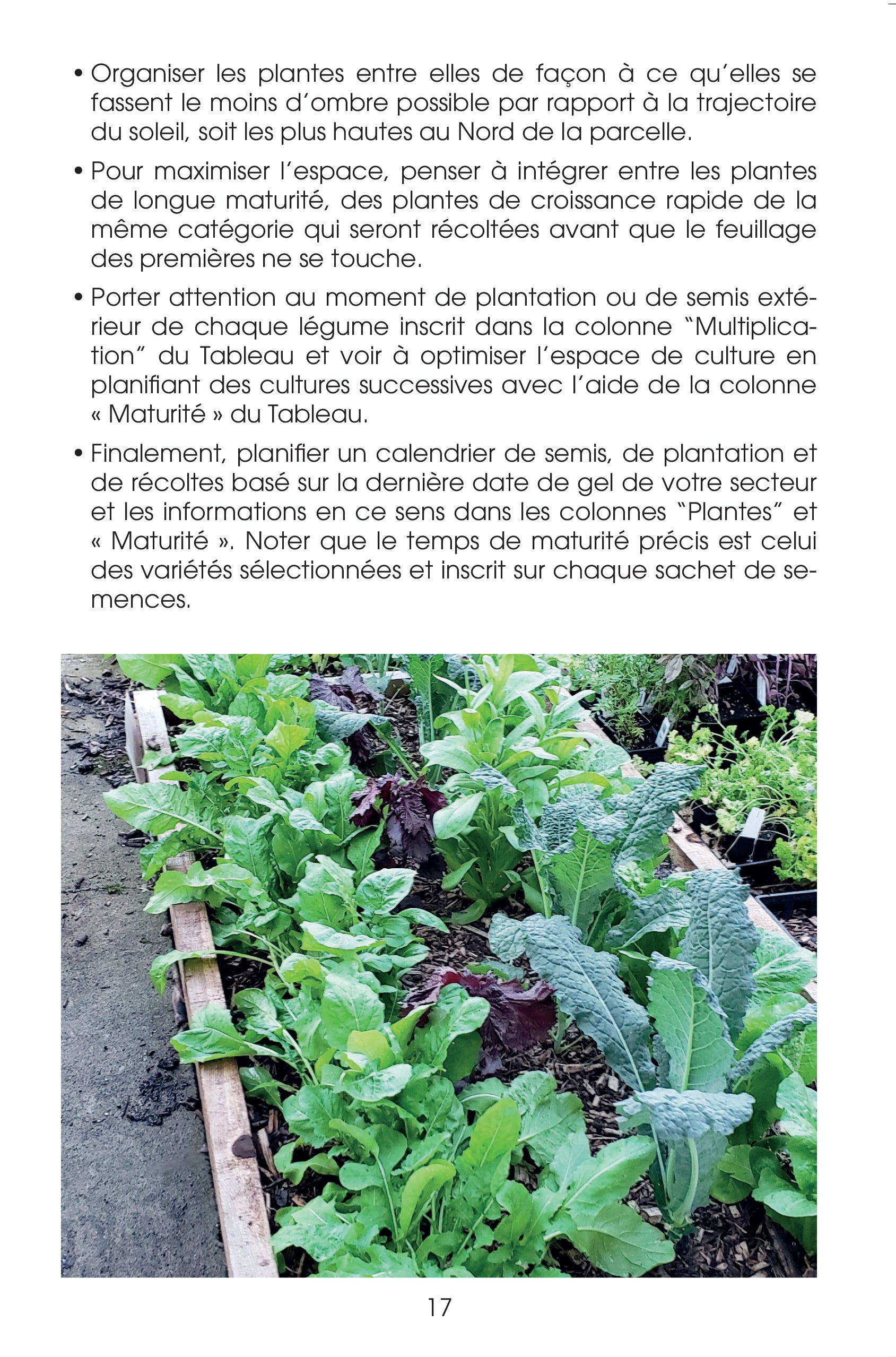 Guide du potager productif