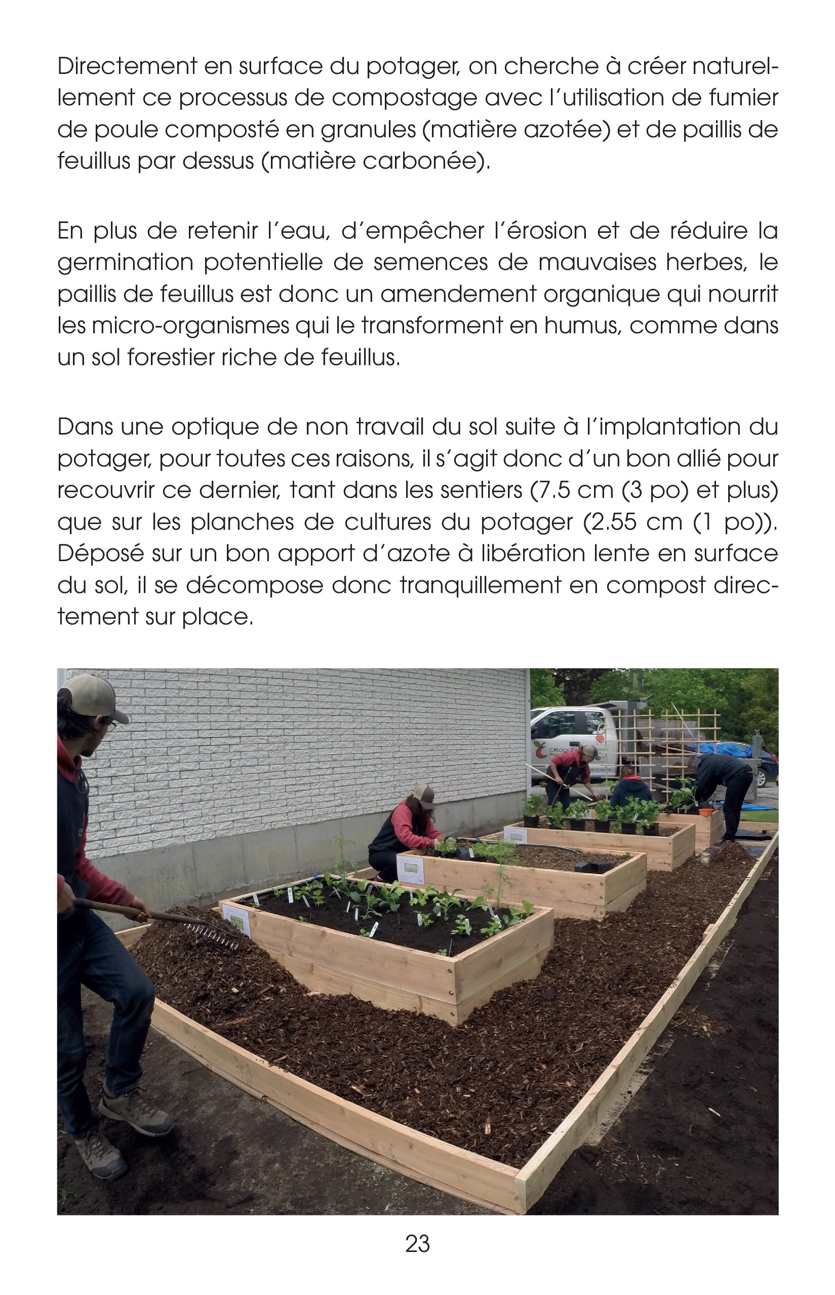 Guide du potager productif