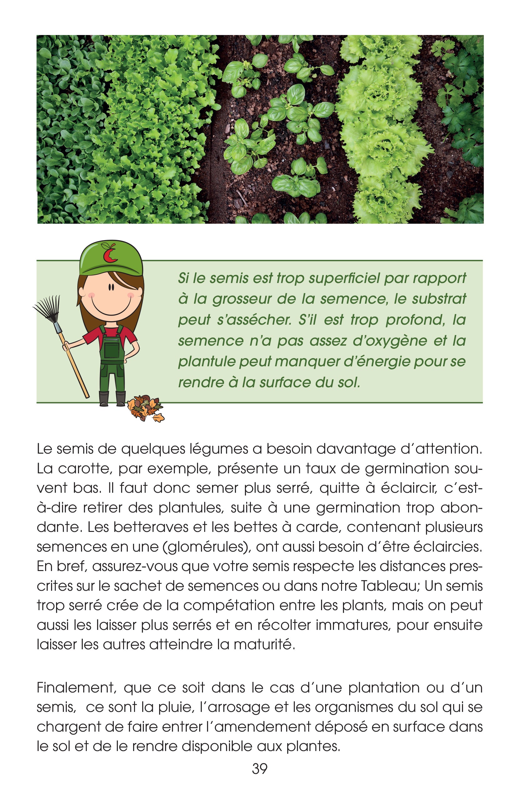Guide du potager productif