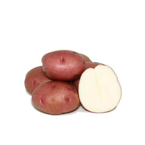 Pommes de terre/Patates Norland pour le jardin - sac 2lbs