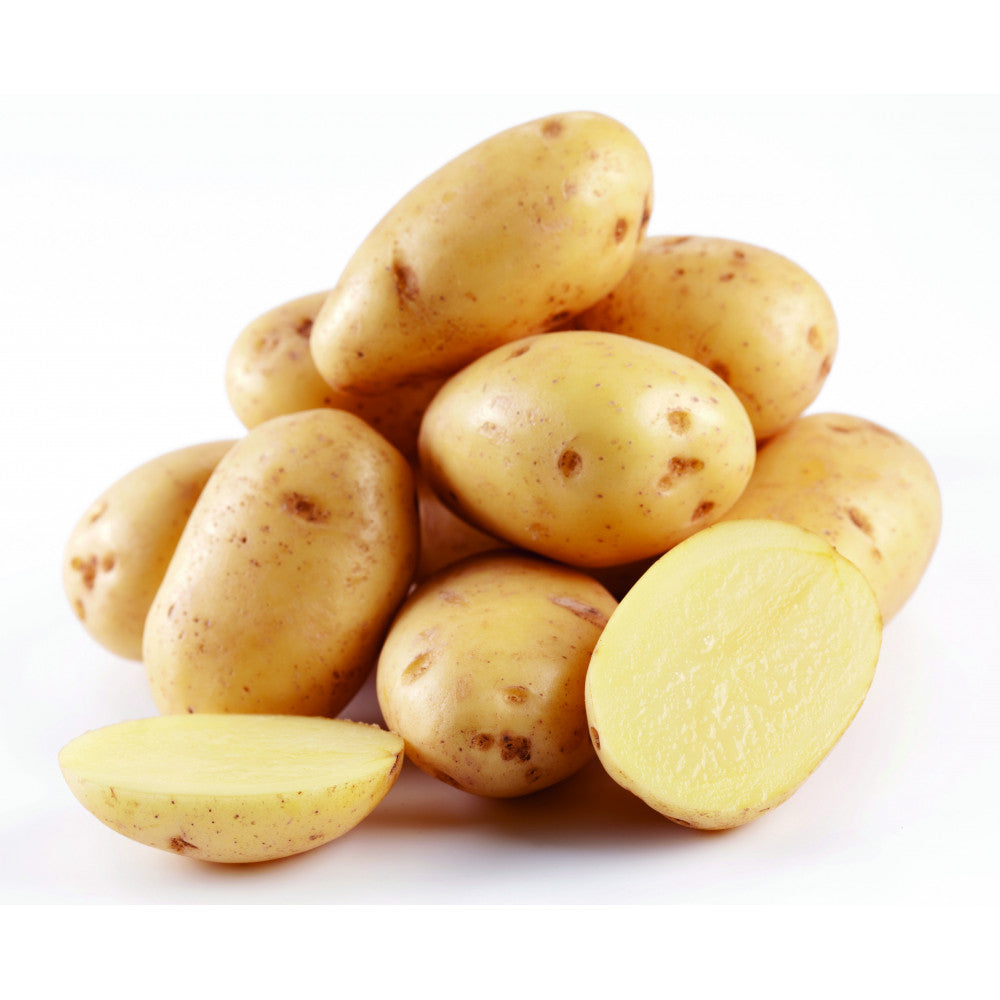 Pommes de terre/Patates Superior pour le jardin - sac 2lbs