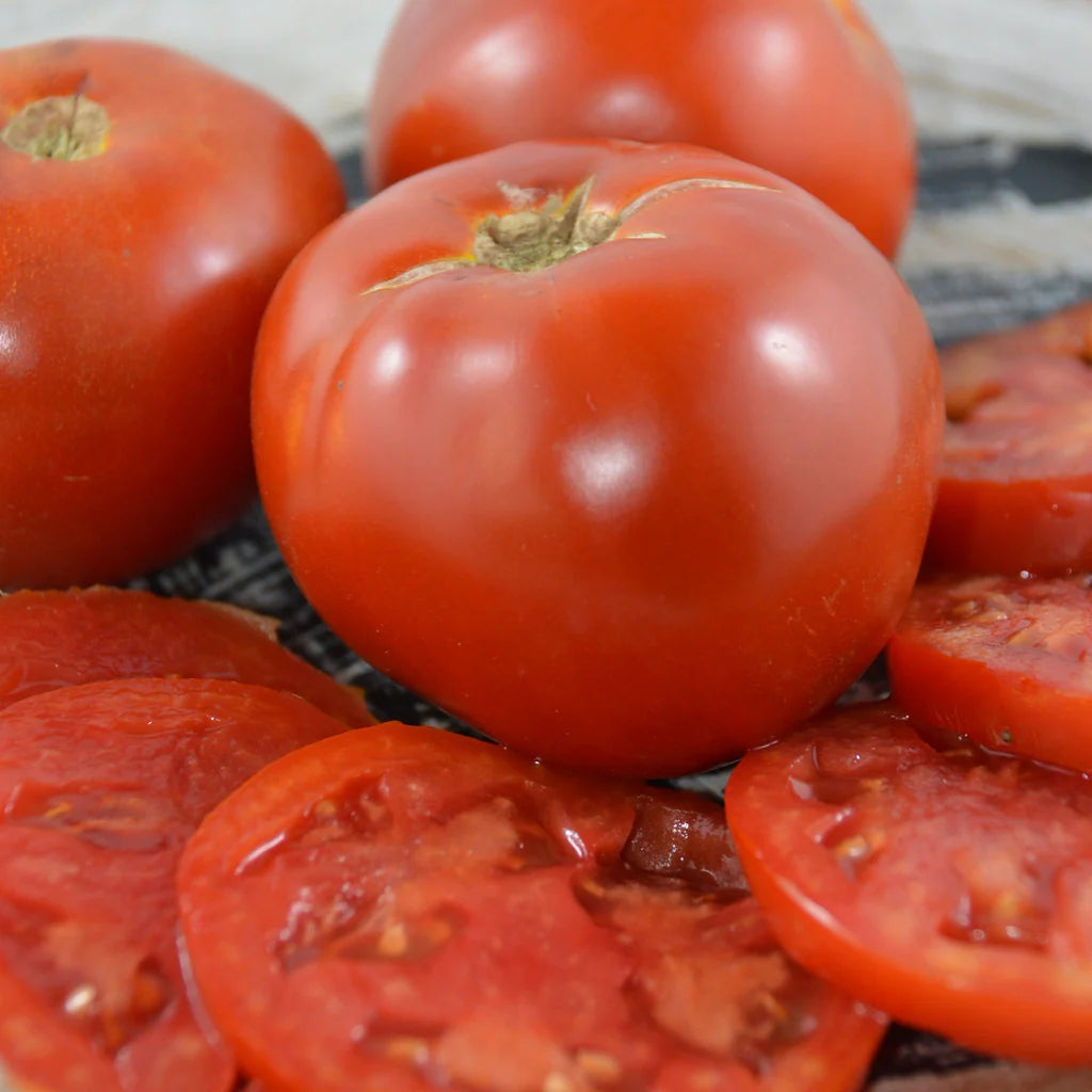 Tomate standard Moskvich - Sachet Bio - Les Jardins de l'écoumène