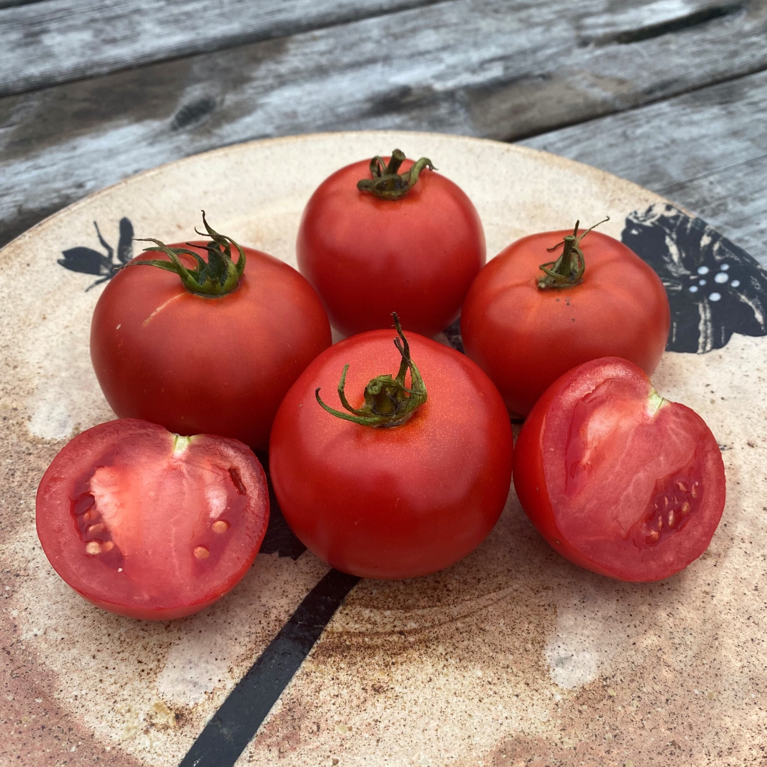 Tomate standard White Pour - Sachet Bio - Les Jardins de l'écoumène