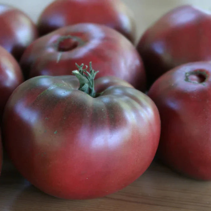 Tomate Carbone - Sachet Bio - Semences du Portage