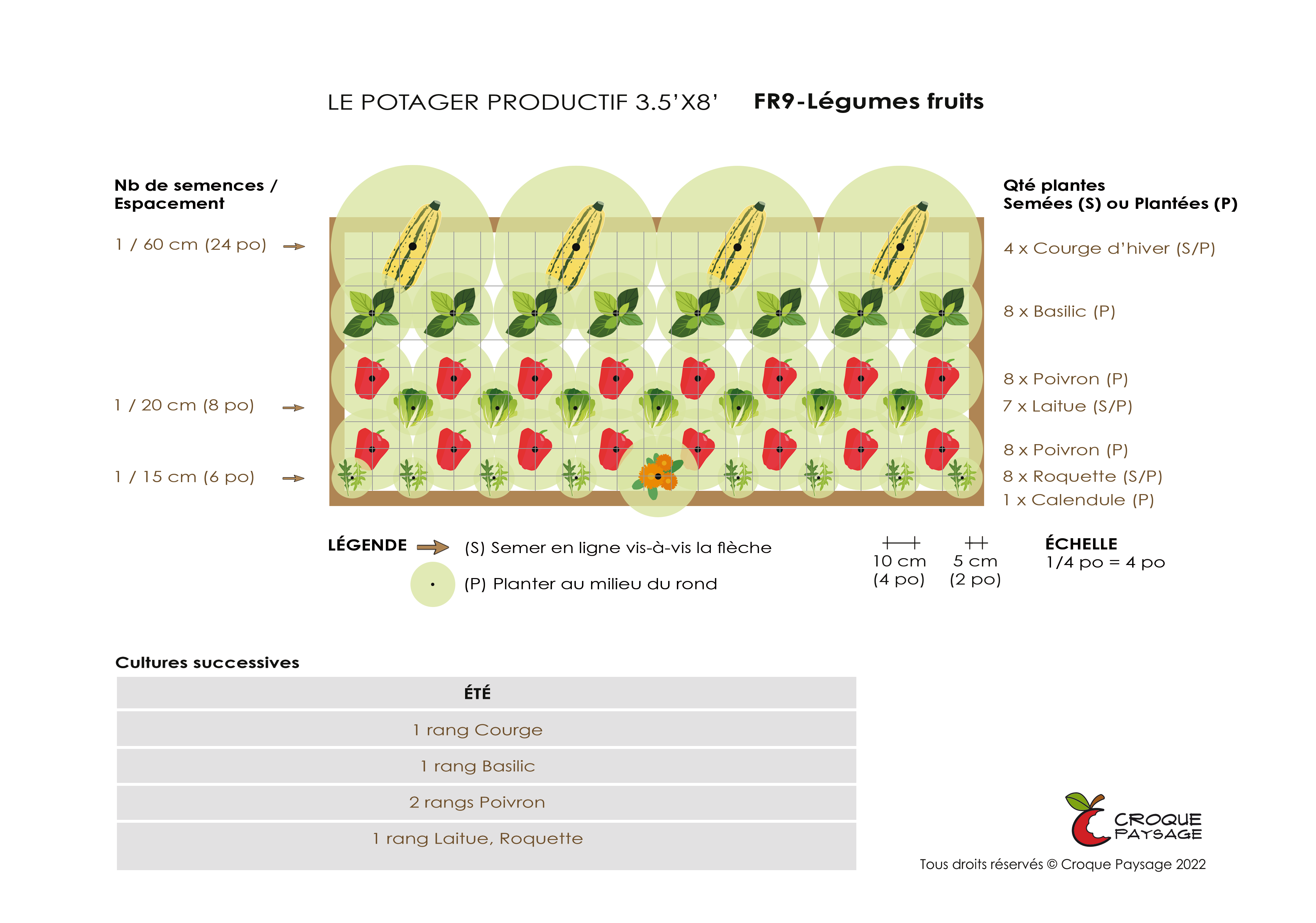 Exemple : Organisation végétale d'un potager productif