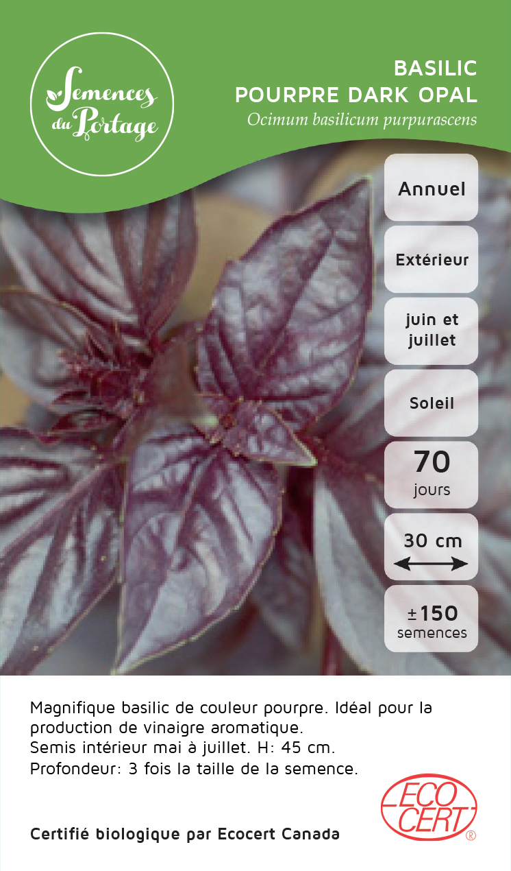 Cultiver Le Basilic Thaï : Tout Savoir Sur Cet Aromate - Foto 10