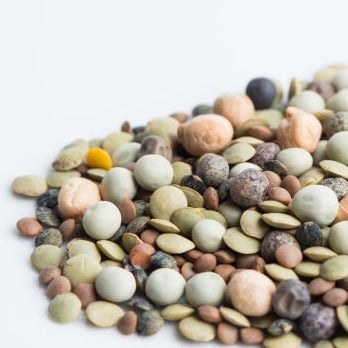 Croque Paysage,Crunchy Bean mix - sachet Mumm's Beans biologiques,semences légumineuses germinations et pousses,semenciers québécois,laurentides,val-david