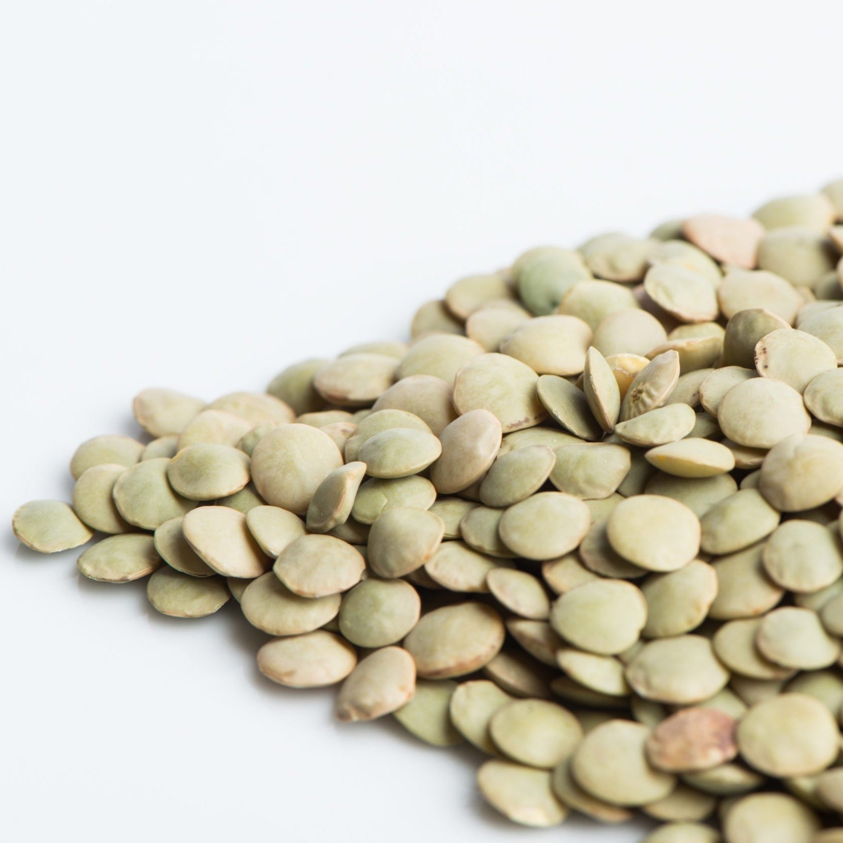 Croque Paysage,Lentilles vertes - Green lentils biologiques,semences légumineuses germinations et pousses,semenciers québécois,laurentides,val-david