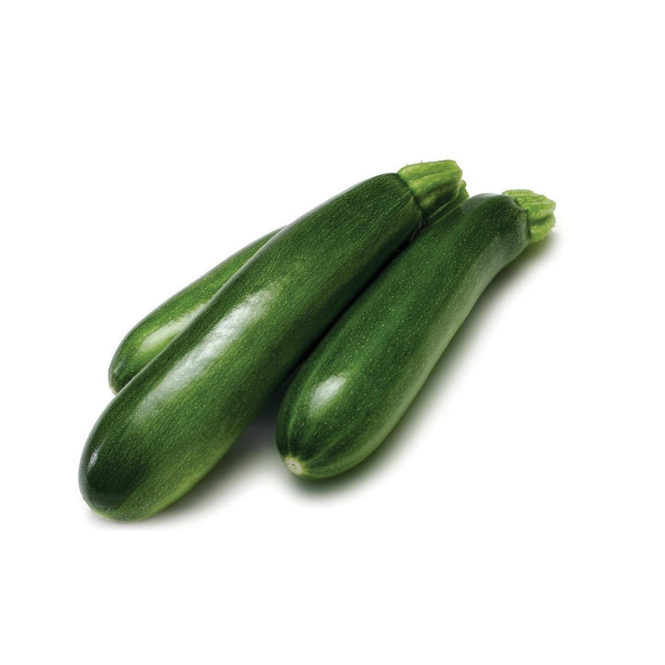 Courgette (courge d'été, zucchini) Dark green - Plant Bio - Croque Paysage