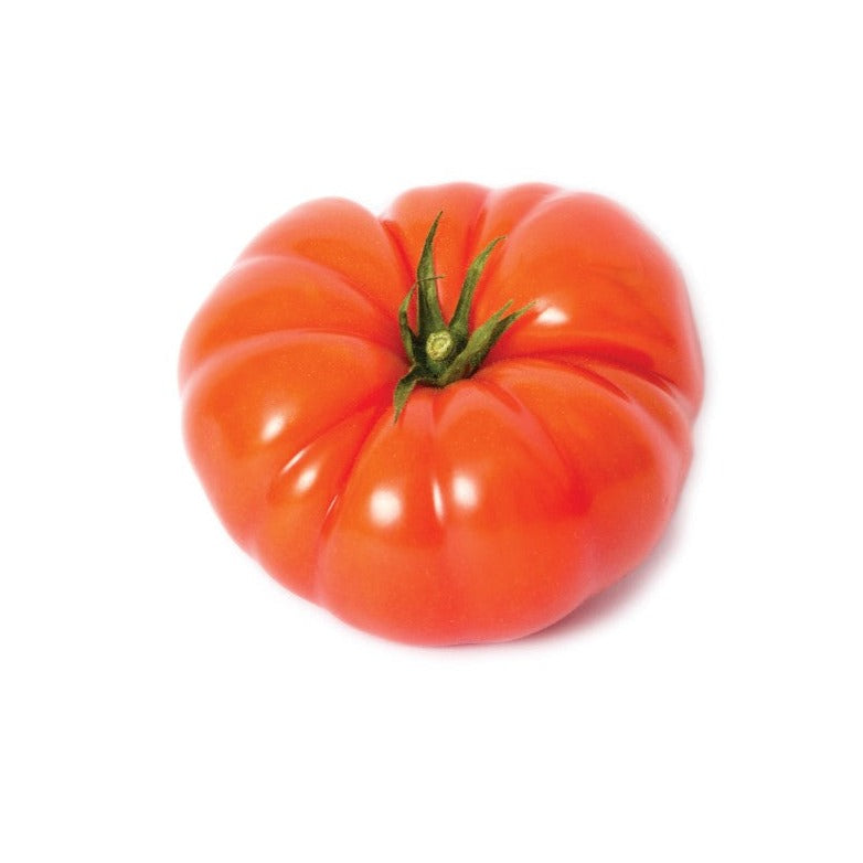 Tomate grosse rose German johnson - Plant Bio - Croque Paysage