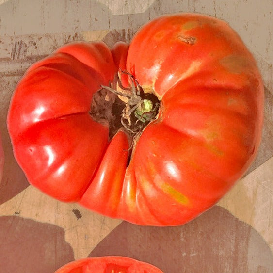Croque Paysage,semences Tomate beefsteak Mémé de Beauce biologiques,légume fruit annuel pour potager,semenciers québécois,laurentides,val-david