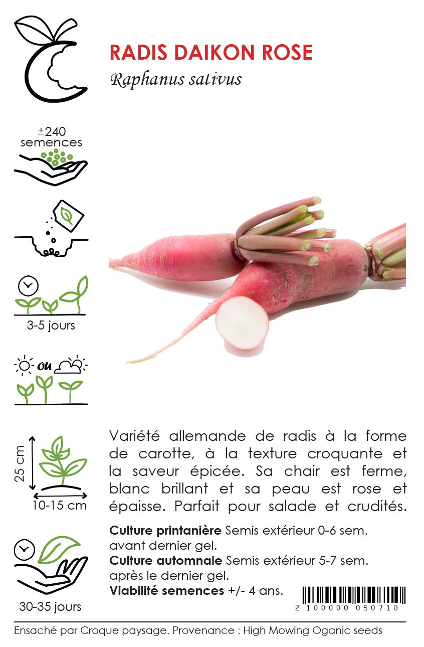 Sachet Croque Paysage,semences Radis Daikon rose biologiques,légume racine annuel pour potager,semenciers québécois,laurentides,val-david